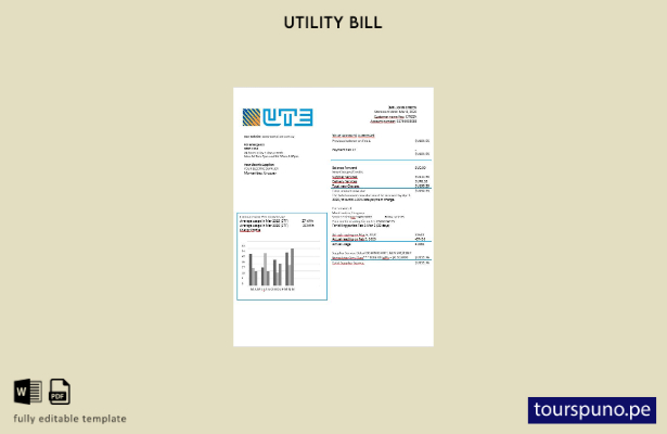 listo para imprimir plantilla de factura de luz UTE Uruguay